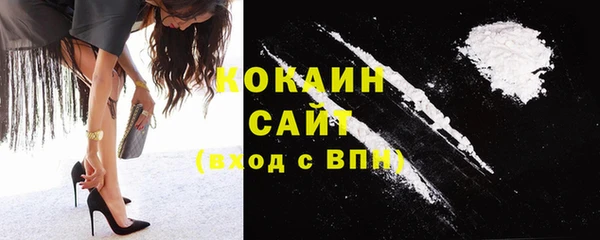 гашик Нефтекумск