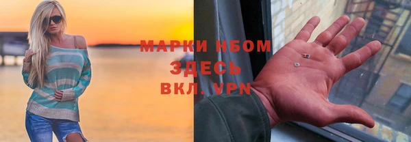 гашик Нефтекумск