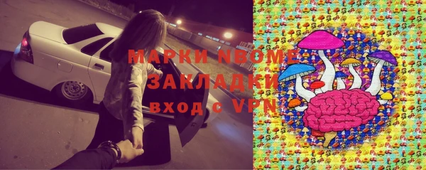 гашик Нефтекумск