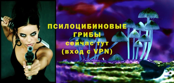 mdpv Нея